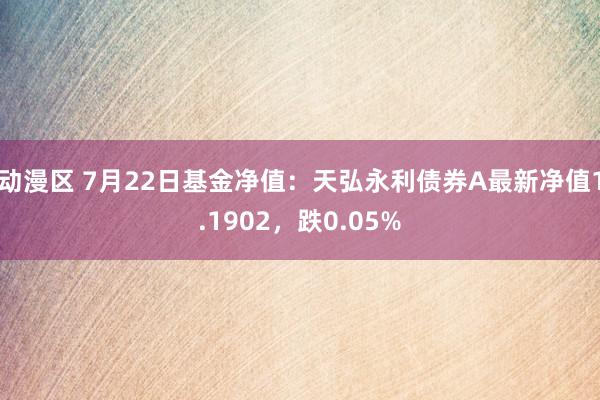 动漫区 7月22日基金净值：天弘永利债券A最新净值1.1902，跌0.05%
