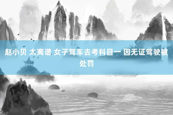 赵小贝 太离谱 女子驾车去考科目一 因无证驾驶被处罚
