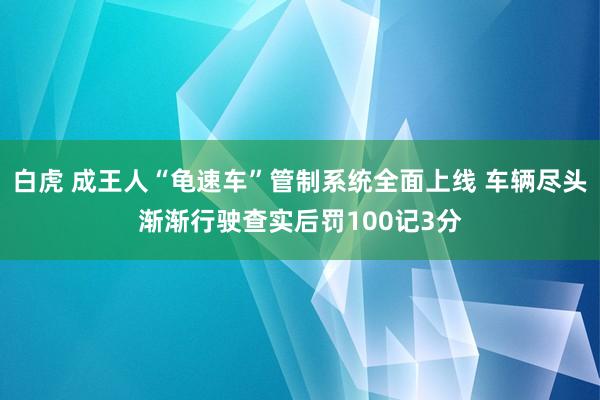 白虎 成王人“龟速车”管制系统全面上线 车辆尽头渐渐行驶查实后罚100记3分