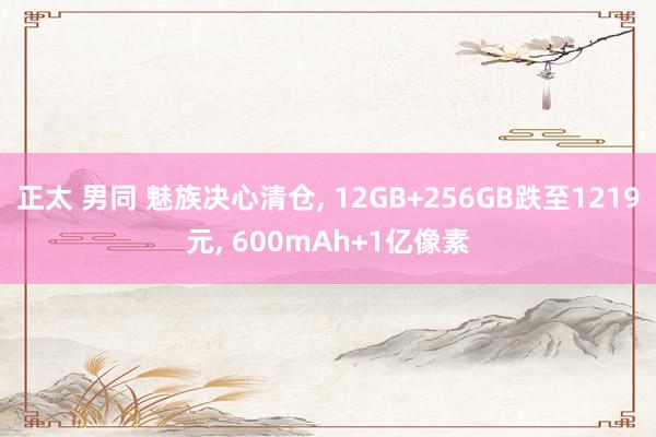 正太 男同 魅族决心清仓, 12GB+256GB跌至1219元, 600mAh+1亿像素
