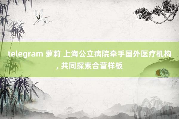 telegram 萝莉 上海公立病院牵手国外医疗机构, 共同探索合营样板